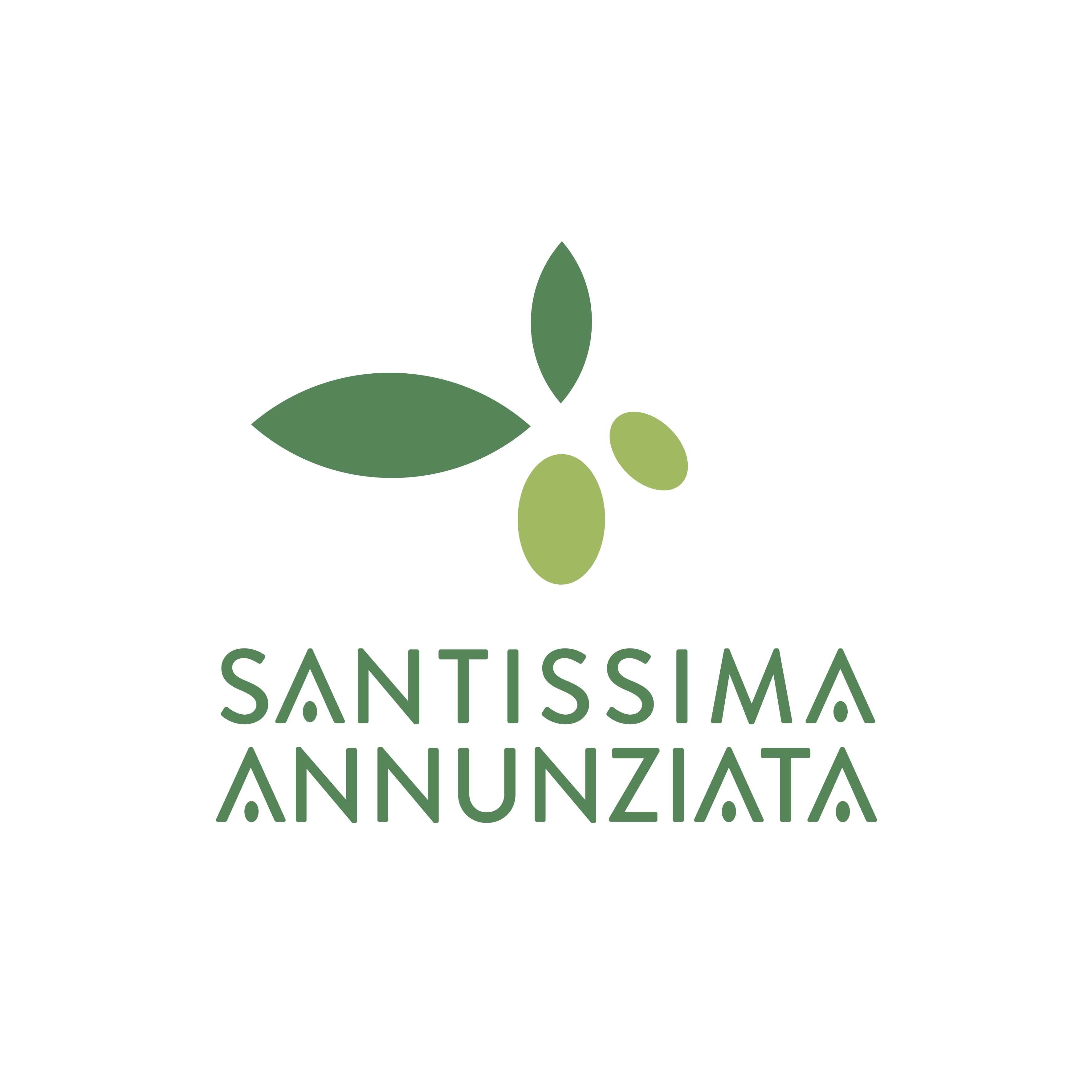 (c) Ssannunziata.it
